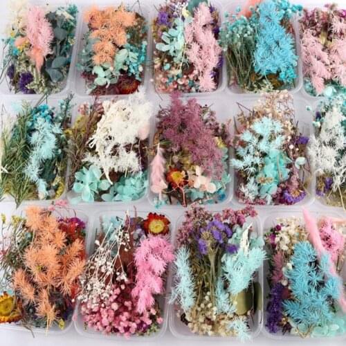 DIY Dried Flowers Resin Mold Fillings UV Expoxy Flower for Nail Art Pressed Flowers for Home Decor Handicraft
