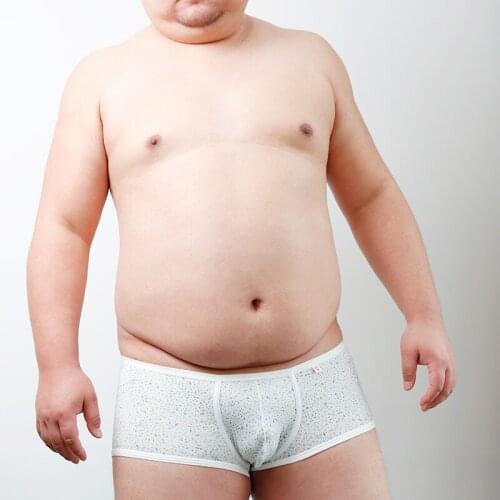 2018 New Arrivals Bear Claw Paw Underwear Plus Size Mens Sexy Boxers Gay Proud Shorts Designed For Gay Bear 2 Colors M L XL XXL