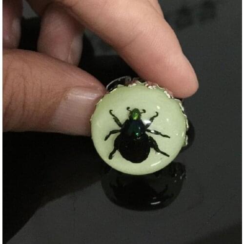 FREE SHIPPING 10 pcs Vintage Lovely glow in the dark round style real green beetle insect vogue ring