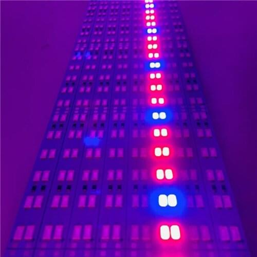 100pcs*100cm DC24V LED Plant Grow Light Red Blue 3:1 LED Hard Rigid Strip Bar Tube LED Linear Light Double Row 5730 144LEDS
