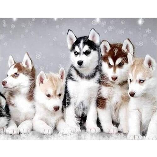 BMBY-Diamond DIY Kits Full Drill Full Drill Diamond Art Wall Painting Pictures Embroidery DIY Stitch Crystal for Home Decor