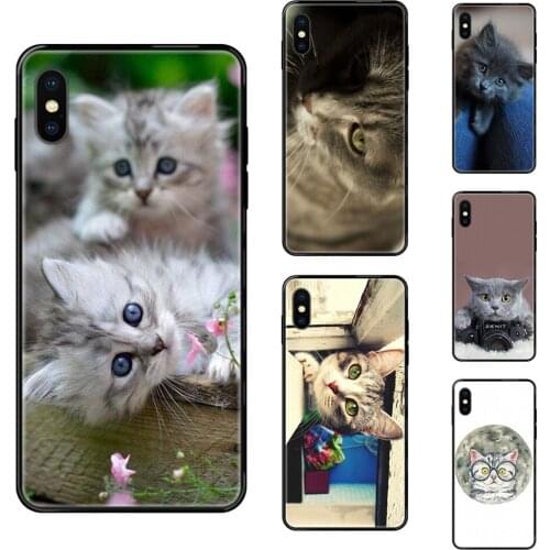 Future Gray Cat With A Zenit Camera For Xiaomi Redmi 3S 4X 4A 5 5A 6 6A 7 7A 8 8A 8T 9 9A K20 K30 S2 Y2 Pro Plus Ultra Black
