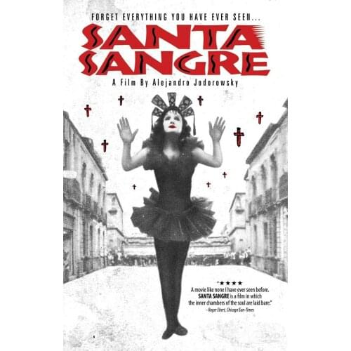 Lot style Choose SANTA SANGRE Movie Art print Silk poster Home Wall Decor