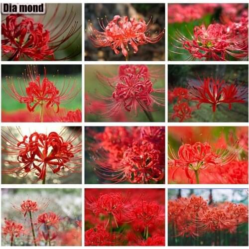 5D DIY Diamond Painting Flowers Full Drill Diamond Embroidery Lycoris Radiata Cross Stitch Handicraft Needlework Home Art Decor