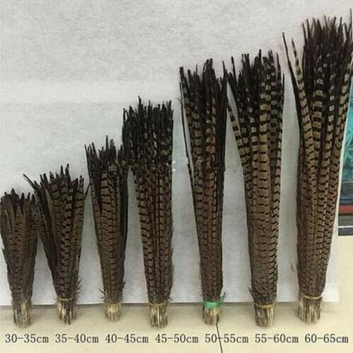 New! Selling 50 beautiful pheasant feathers Various colors optional long 12-26 inch 30-65 cm various props decoration
