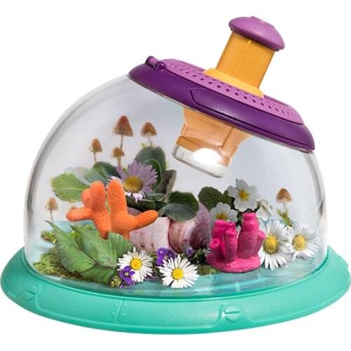 Portable Small Fish Tank Plastic Transparent Insect Observation Box For Kids Children Ladybird Feeding Box Enlarge Observation