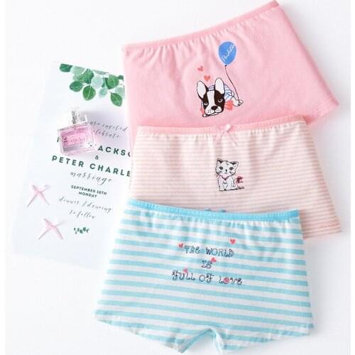 FairyTown Panties For Girls