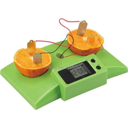 Teenage children kids scientific science educational models experimental toy materials fruit electric power generation experime
