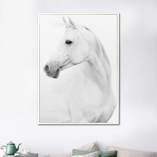 White Horse Animals Wall Art Canvas Painting Nordic Posters And Prints Canvas Art Wall Pictures For Living Room Bedroom Decor