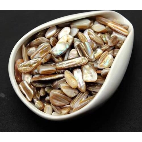 Shell tumbled stones quartz minerals fossils natural gemstones reiki healing fine fish tank decoration