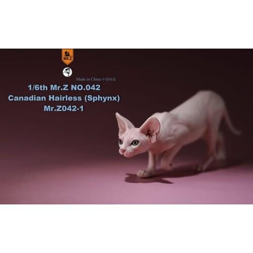 Mr.Z No.040-BS 1/6 Scale Canadian Hairless cat sphynx simulation model toy animal static model for 12' action figure accessories