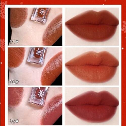 Liquid Lipstick Matte Ice Snow Moisturizing Lip Glaze Velvet Matte Matte Lasting Moisturizing Lip Gloss Lip Tint Cosmetics TSLM1