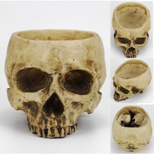 Creative Skull Flower Pot Planters Resin Statues Skull Medical Model Halloween Home Office Decoration Furnishing Flower Pot