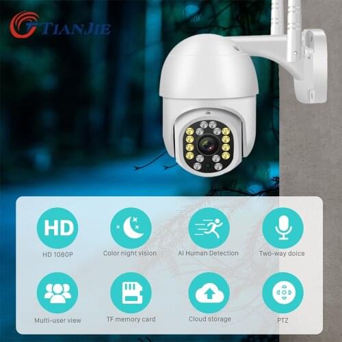TIANJIE CCTV Camera Dummies