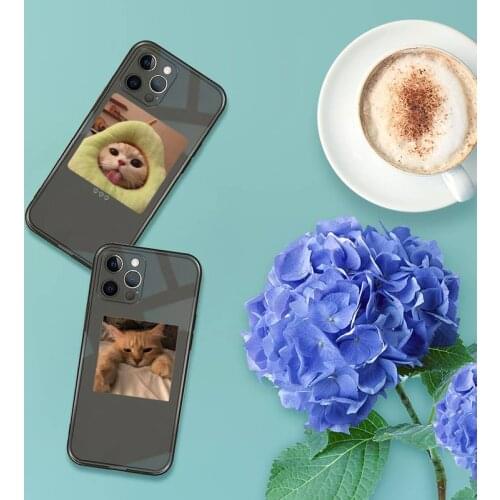 Cute Cats New Year Gifts Phone Case For iPhone 13 12 11 8 7 se 2020 pro X XS XR MAX Plus Black Transparent Cover