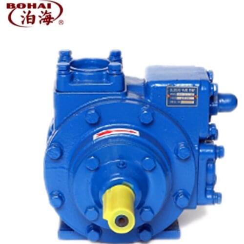 Liquefied Petroleum Gas electric motor LPG transfer pump