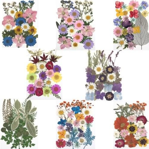 Dried Flowers DIY Epoxy Resin Glue Mold Natural Embossing Dry Flowers Fillings Jewelry Making Decoration Plants Leaves Crafts
