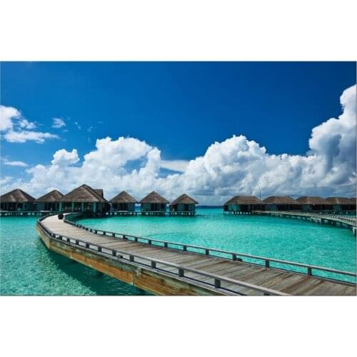 1 Panel Free shipping Home Decor Canvas Small house on the sea Canvas painting Art HD Picture Paint on Canvas Prints Framed