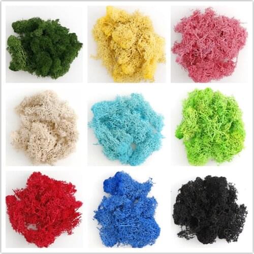 20g/pack of Eternal Flower Moss Accessories Home Decoration Painting Simulation Plant Background Wall Diy Material
