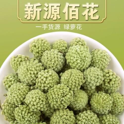 2021 Top Scindapsus Aureus Green Rose Dill Dried Flower Lower Blood Sugar Beauty Health Slimming Strengthen Immunity Party Gift