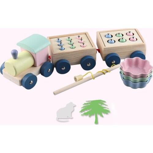 Montessori Toys Games Fishing Toys Color Sorting Toys Gift for Toddler