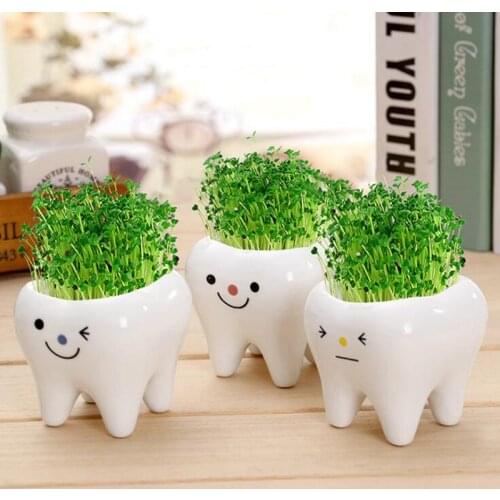 1Pc Bonsai Ceramic Flower Pot DIY Small Planter Succulent Plants Tooth Shape Pot