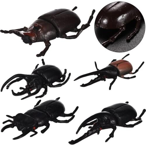 5pcs/set simulation beetle Toys Special Lifelike Model Simulation insect Toy nursery teaching minituare decoration