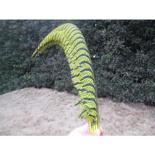 Wholesale 50 pcs rare yellow golden pheasant tail feather cover 32-36 inches / 80-90 cm show party decoration