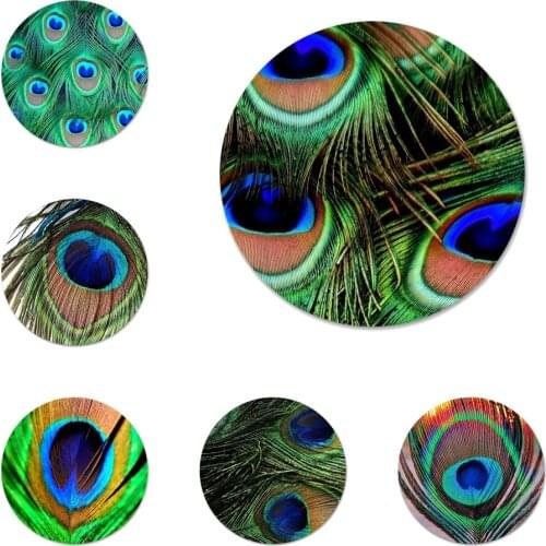 Bird Peacock feather Icons Pins Badge Decoration Brooches Metal Badges For Clothes Backpack Decoration 58mm