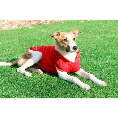 Senye Pet Autumn and Winter Buckle Windproof Cotton Coatt to Keep Warm and Comfortable Suitable for Small and Medium Dogs