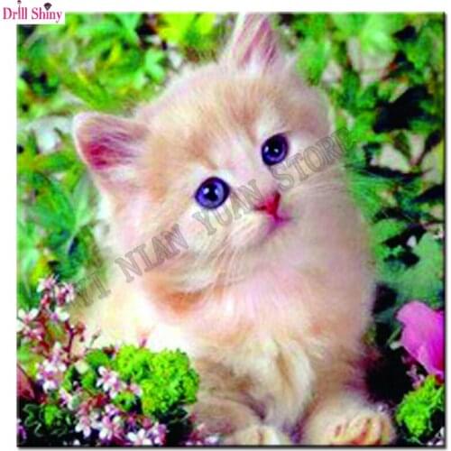 Flower lovely cat Needlework Diamond painting full square drill Diamond embroidery Cross Stitch rhinestones animal Mosaic decor