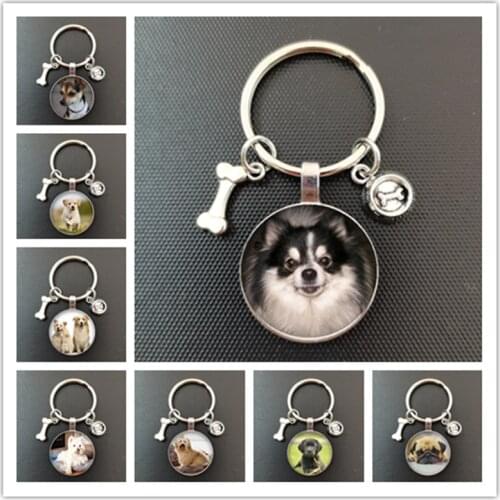 Cute animal beagle pug dog glass cabochon poodle teddy art picture glass dome DIY handmade jewelry key chain