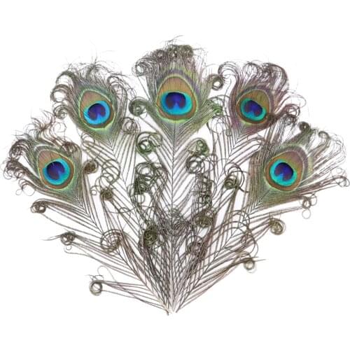 10 Pcs Natural Big Eyes Curly Peacock Feathers 10-12 inches for DIY Jewelry Accessories Wedding Home peacock decor Crafts Plumes