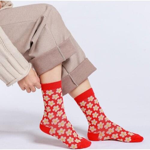 Hot Spring Gifts For The New Year Women Kawaii Socks Autumn Nature Animal Knitted Stockings Soft Funny Summer Fashion