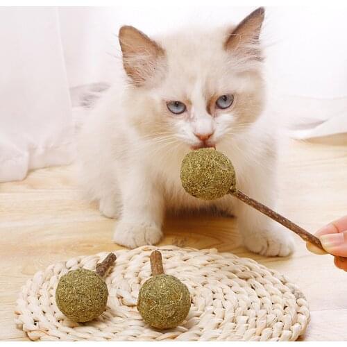 Catnip Cats Pet Products for Cats Toys Kittens Accessories Goods for Animals Funny Things Animal Pets Supplies Cat Fidget Toys