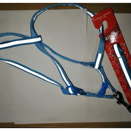 BUDDY Animal Decorations