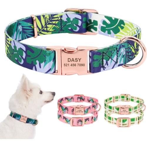Personalized Dog Collar Custom Puppy Pet Collar Pitbull Collars Pets Acessorios Products Small Dog Collar for Medium Large Pet