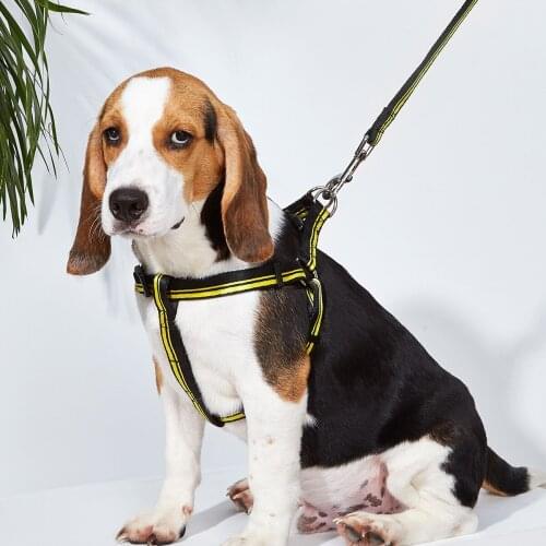 No Pull Dog Harness and Leash Set Adjustable Basic Nylon Step for Puppy Small and Medium dog Vest Outdoor Walking