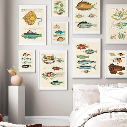 Marine Creatures Colourful Vintage Art Animal Fish Posters and Prints Wall Pictures Canvas Painting for Kids Room Home Decor