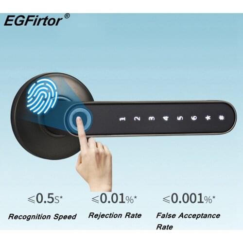 Fingerprint Smart Lock Access Control APP Wifi Door Lock Biometric Fingerprint Storage Lock Bluetooth Apartment Door Lock