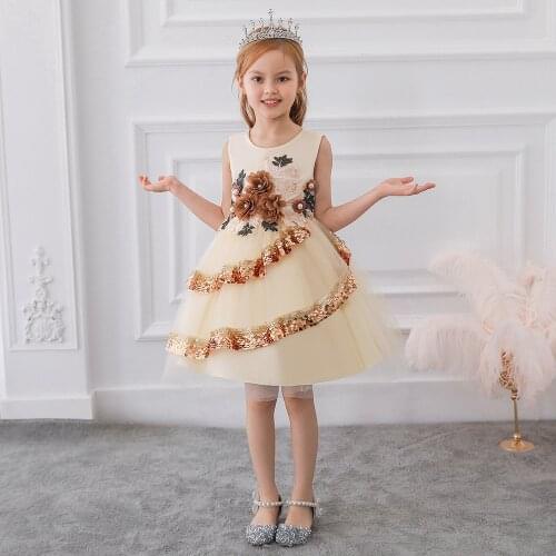 Girl Floral Princess Party Dress Girls Dress Summer Children Clothing Wedding Birthday Baby Dress Tutu Applique Embroide Clothes