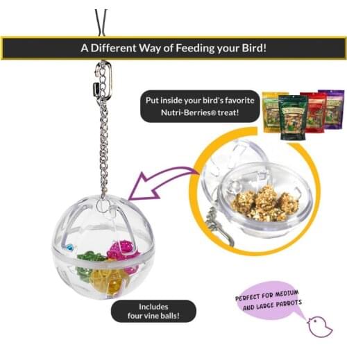 Parrot Chew Toy Hanging Foraging Ball with Balls Inside Bird Cage Acrylic Stand Drop Ship