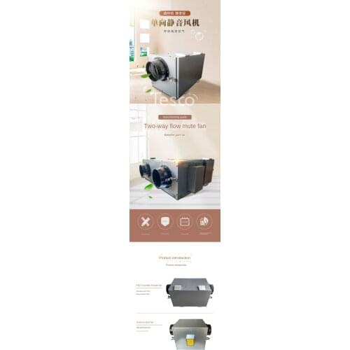 Two-way flow silent fan commercial hospital purification fan home supermarket shopping mall fresh air system exhaust air supply