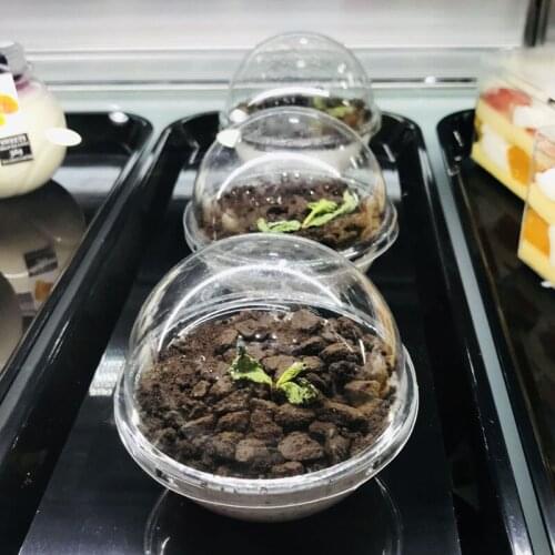 40pcs High quality crystal ball hollow ball-shaped packaging box Christmas cup transparent mousse cake cup food rice packing box