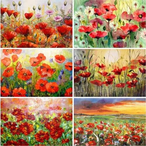 MomoArt 5D DIY Diamond Painting Poppy Rhinestone Picture Diamond Embroidery Flower Craft Kit Home Decorations