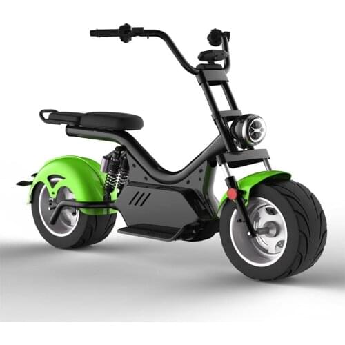 Electric Bicycle Cycling Electronic Bikes for Adult 12 Lnch 2000W 60V 45km/h Removable Battery Double Seat Alarm