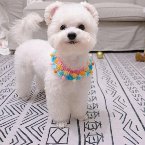 Hippypaw Dog Accessories