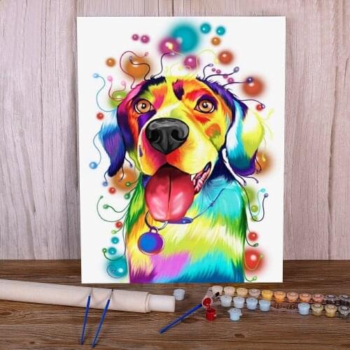 Animal Dog Pomeranian Painting By Numbers Set Oil Paints 40*50 Canvas Pictures Wall Decoration For Handicraft