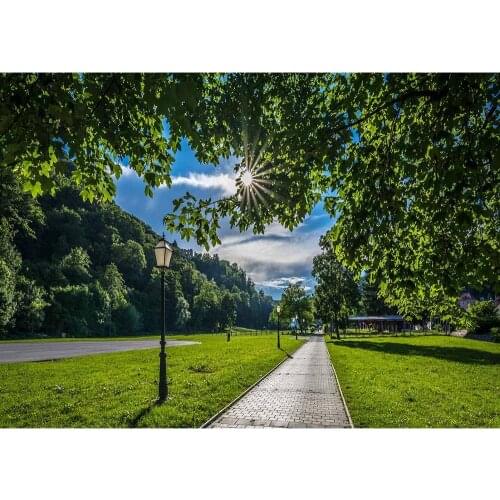 Trees Lawn Sunlight Vinyl Photography Backdrop for Wedding Lover Baby Children Background Photo Studio Photobooth Photo Shooting