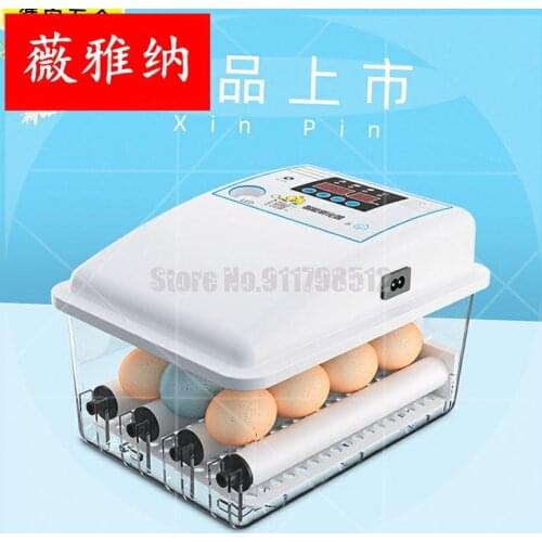 Incubator Fully Automatic Intelligent Small Household Water Bed Incubator Mini Incubator Incubator For Incubating Chicks